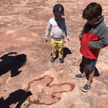 Dinosaur Tracks - Landmarks & Historical Buildings Near Me - Tuba City, Arizona
