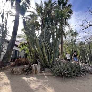 Moorten Botanical Garden - Nurseries & Gardening Near Me - Palm Springs, California Moorten Botanical Garden - Nurseries & Gardening Near Me - Palm Springs, California