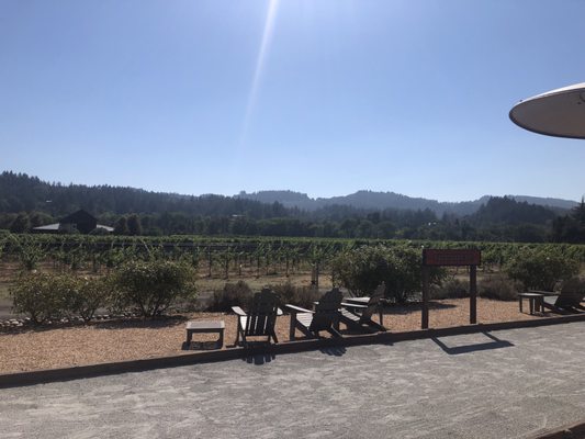 Comstock Wines by null