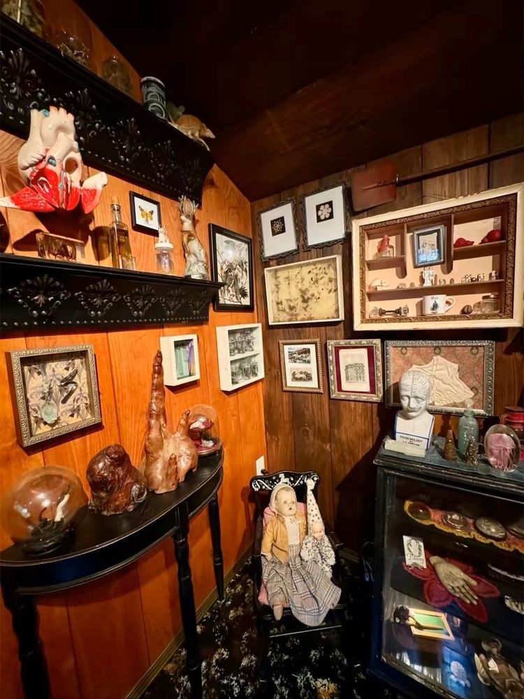 Museum of Natural and Artificial Ephemerata