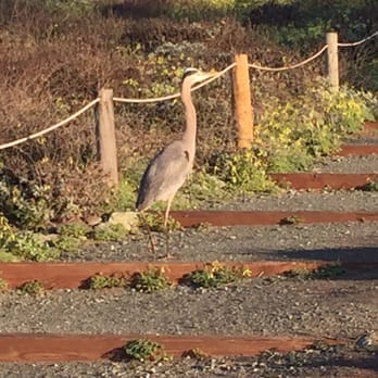 Castle Inn - Hotels Near Me - Cambria, California