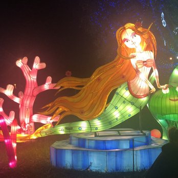 Lantern Light Festival - Festivals Near Me - Jacksonville, Florida Lantern Light Festival - Festivals Near Me - Jacksonville, Florida