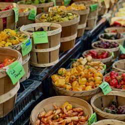 Grand Army Plaza Greenmarket - Vibrant colors of peppers