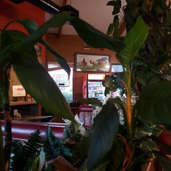 Wong's Genghis Khan - Chinese Near Me - Reno, Nevada
