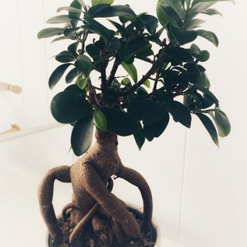 Mountainview Movement Massage and Wellness - Massage Therapy Near Me - Vancouver, British Columbia