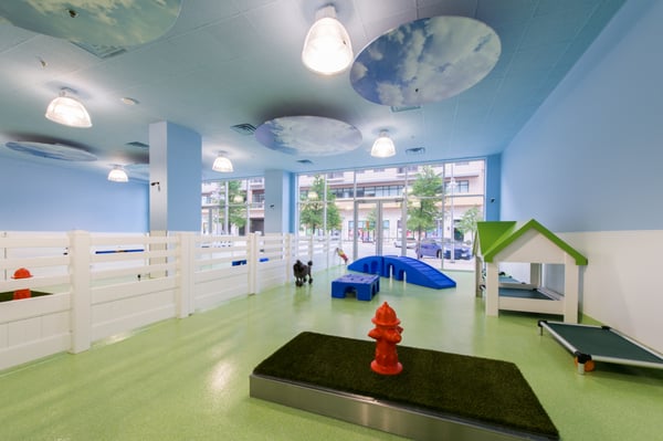 Citydog! Club by null