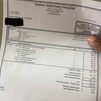 Gaston Veterinary Hospital & Carolina Cat Clinic - Veterinarians Near Me - Gastonia, North Carolina Gaston Veterinary Hospital & Carolina Cat Clinic - Veterinarians Near Me - Gastonia, North Carolina