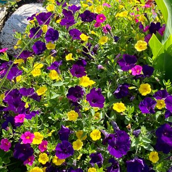 Schroeder's Flowers - Florists Near Me - Green Bay, Wisconsin