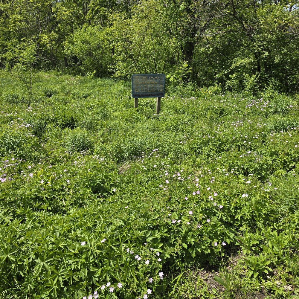 Constitution Trail - Hiking Near Me Constitution Trail - Hiking Near Me