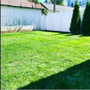 Photo of Jose H Landscaping