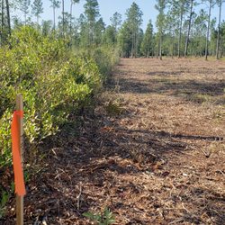 ShadowCat Services - Cleared area up to survey stakes. This shows how much difference can be made on unworkable property