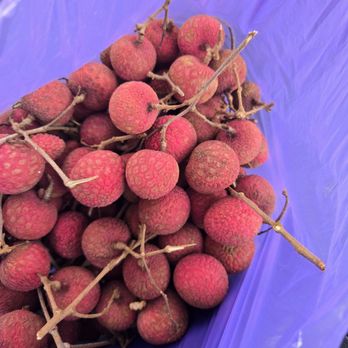 Hilo Farmer's Market - Lychee - Farmers Market Near Me - Hilo, Hawaii Hilo Farmer's Market - Lychee - Farmers Market Near Me - Hilo, Hawaii
