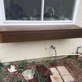 Gutter Bugs - Shelf - Gutter Services Near Me