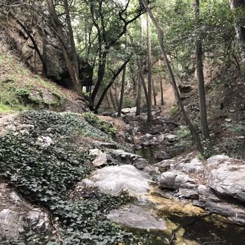 Chantry Flat Recreation Area - Parks Near Me - Sierra Madre, California