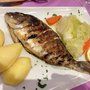 Photo of Terramar