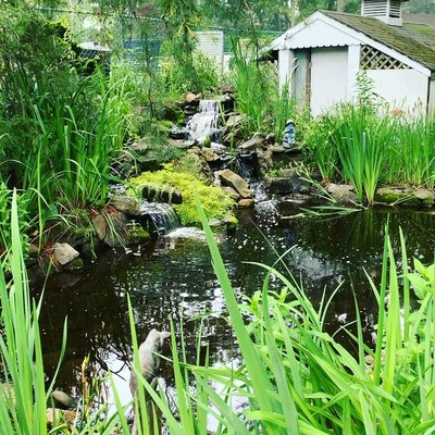 Hamptons Vacation Inn by null