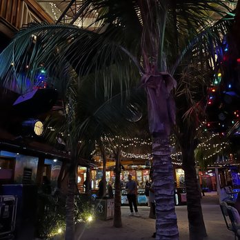 Seacrets - ambiance after dark - Bars Near Me - Ocean City, Maryland