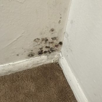 Ken Gardens - Mold in bedroom. Water coming in when rains. - Apartments Near Me - Cliffwood, New Jersey Ken Gardens - Mold in bedroom. Water coming in when rains. - Apartments Near Me - Cliffwood, New Jersey