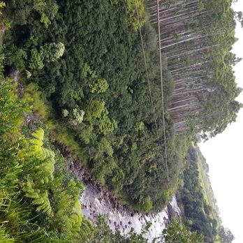 The Umauma Experience - Ziplining Near Me - Hakalau, Hawaii The Umauma Experience - Ziplining Near Me - Hakalau, Hawaii