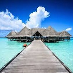 Pampered Life Travels - Have you been to the Caribbean?