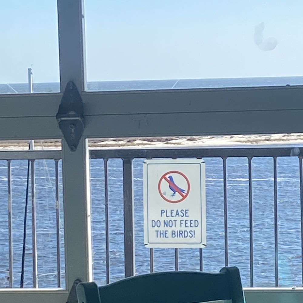 McElroy's Harbor House - Because the birds will steal your food! - Seafood Near Me - Biloxi, Mississippi McElroy's Harbor House - Because the birds will steal your food! - Seafood Near Me - Biloxi, Mississippi