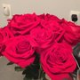 Photo of Audrey's Roses