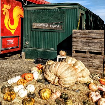 Larry's Produce - Haunted house - Fruits & Veggies Near Me - Fairfield, California Larry's Produce - Haunted house - Fruits & Veggies Near Me - Fairfield, California