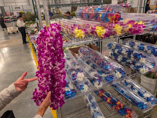 San Francisco Flower Market by null