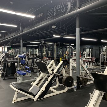 EXILE PERFORMANCE NUTRITION - Updated January 2026 - 15 Reviews - 8303