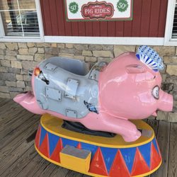 Countryside BBQ - Rocket Pig Rides