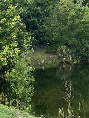 Boca Ciega Millennium Park by null