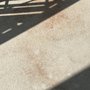 Photo of JC Concrete Polishing