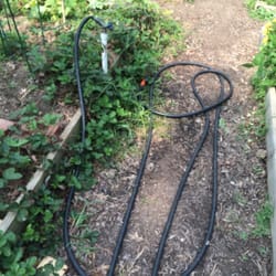 City of Fairfax Community Garden - Water