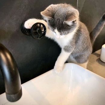 Lockhart Plumbing Services - Plumbing Near Me - Lockhart, Florida Lockhart Plumbing Services - Plumbing Near Me - Lockhart, Florida