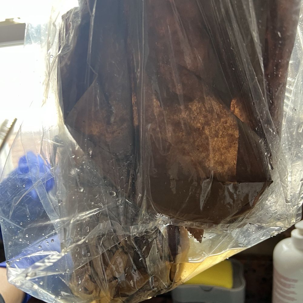Hua Lian Market - Brought two crab and full of water that the thick brown bag leaked and water leaked in my car. - Grocery Near Me - Queens, New York Hua Lian Market - Brought two crab and full of water that the thick brown bag leaked and water leaked in my car. - Grocery Near Me - Queens, New York