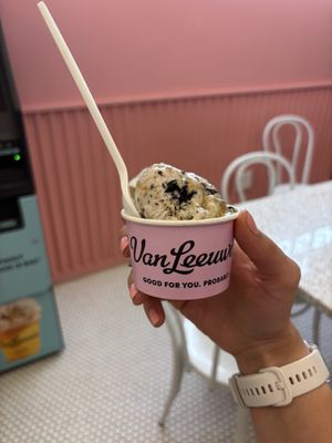 Van Leeuwen Ice Cream by null