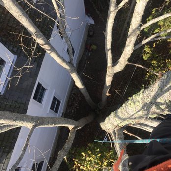 Cliff Side Tree Service - Tree Services Near Me