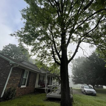 Limitless Outdoor Solutions - Tree Services Near Me - Columbia, Tennessee Limitless Outdoor Solutions - Tree Services Near Me - Columbia, Tennessee