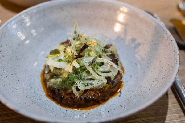 Oyster Oyster by null