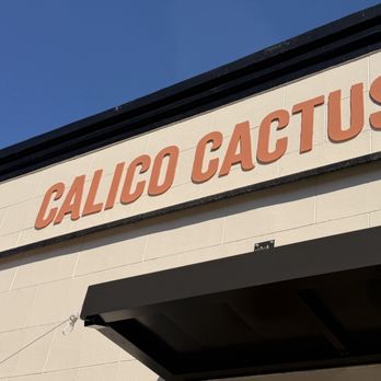 Calico Cactus - Breakfast & Brunch Near Me - Jacksonville, Florida