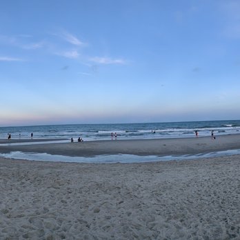 Myrtle Beach State Park - Beach - Parks Near Me - Myrtle Beach, South Carolina Myrtle Beach State Park - Beach - Parks Near Me - Myrtle Beach, South Carolina