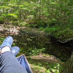 Newfound R V Park - Eating breakfast and watching the birds and squirrels playing in the morning.