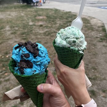 MSU Dairy Store - Ice Cream & Frozen Yogurt Near Me - East Lansing, Michigan MSU Dairy Store - Ice Cream & Frozen Yogurt Near Me - East Lansing, Michigan