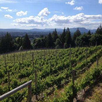 Averill Creek Vineyard - a vineyard in the foreground - Wineries Near Me - Duncan, British Columbia