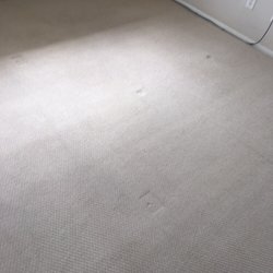 Justice Carpet Cleaning - After Deep Clean system carpet is like new and deodorized!