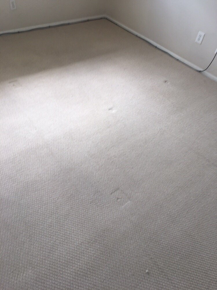 JUSTICE CARPET CLEANING Updated September 2024 Vero Beach, Florida