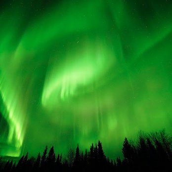 Arctic Night Tours - Tours Near Me