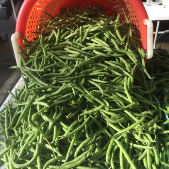 McLean Farmer's Market - Farmers Market Near Me - McLean, Virginia McLean Farmer's Market - Farmers Market Near Me - McLean, Virginia