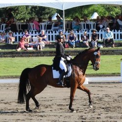 Mercedes Andazola Dressage