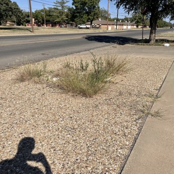 Chads Lawn Care - Lawn Services Near Me